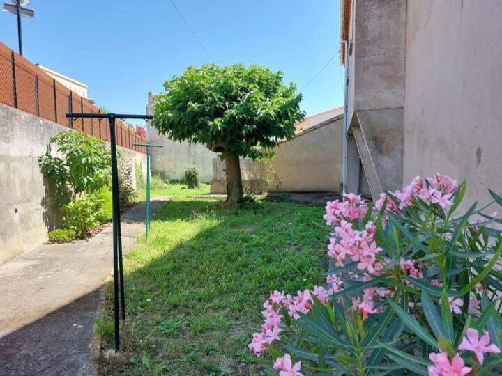 Villa L'onde Des Berges De L'aude Carcassonne